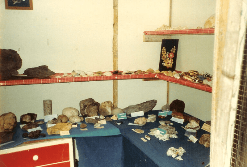 1983-07-museumpje-kippenhok-tulpstraat-768x552