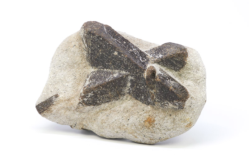 f - fairy cross - stauroliet 1