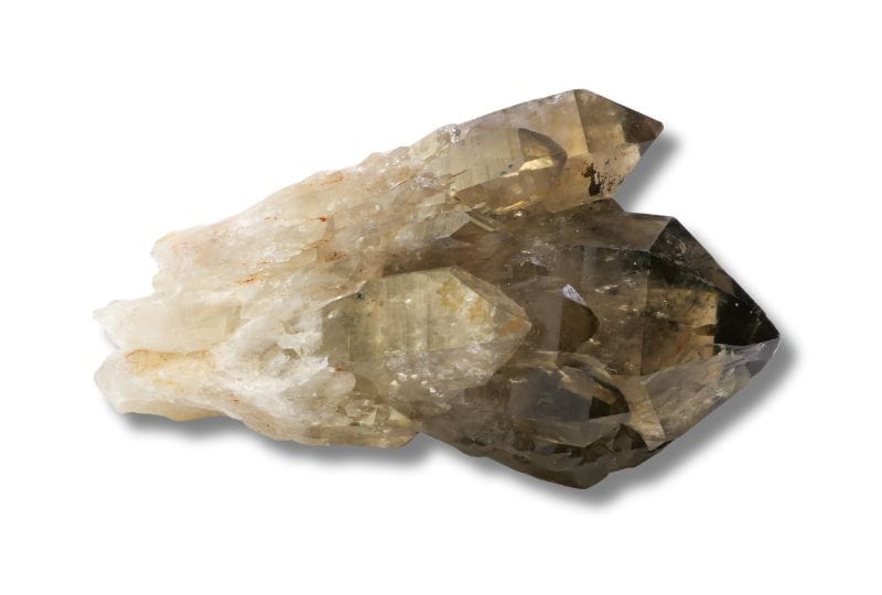 citrien congo - gesplitste groei