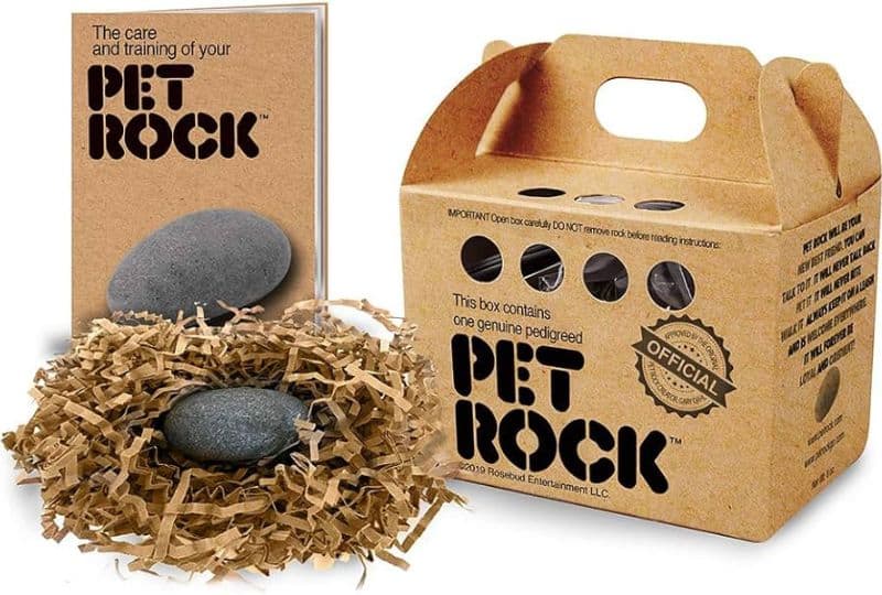 pet rock original