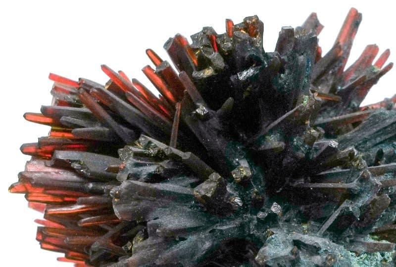 rood bloedloogzout 4 detail