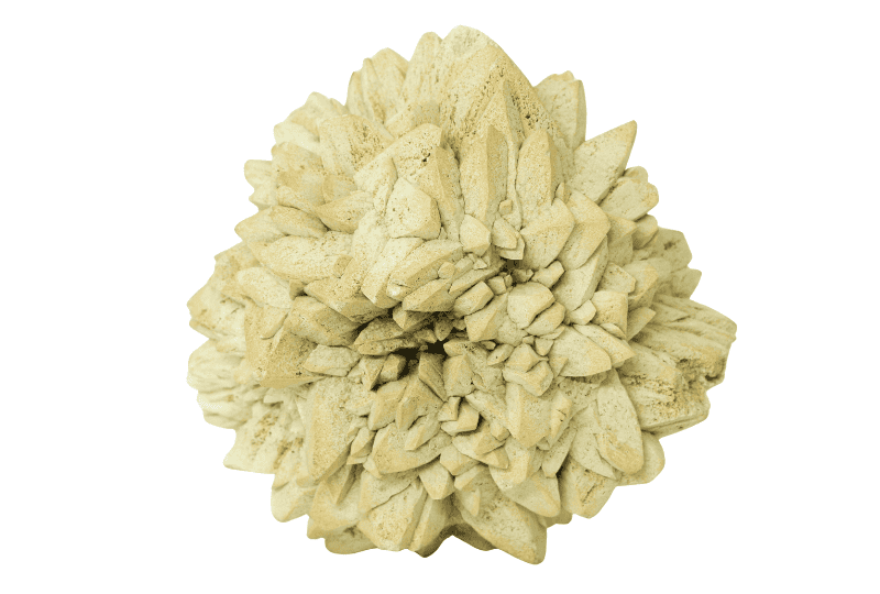 glendoniet Rusland 1