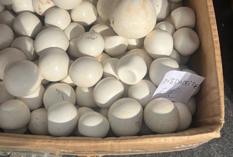 lonsdaleiet 2 - beurs SMAM 2025