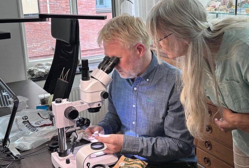 workshop stapel van stenen 1-op-1 herkennen van mineralen