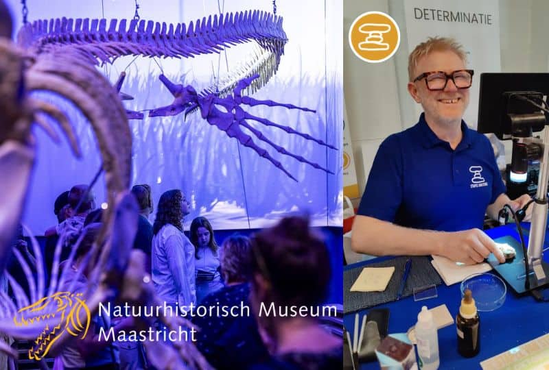 familiedag natuurhistorisch museum maastricht - determinatie SvS