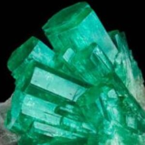 Profiel foto van Beryl