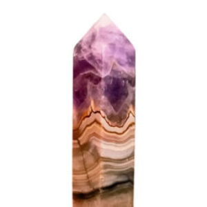 Profiel foto van Peter Nekkers