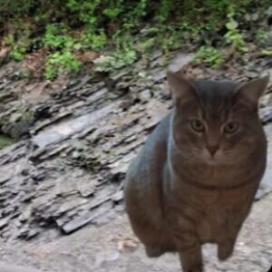 Profile photo of Luna.Bellatrix.Geology